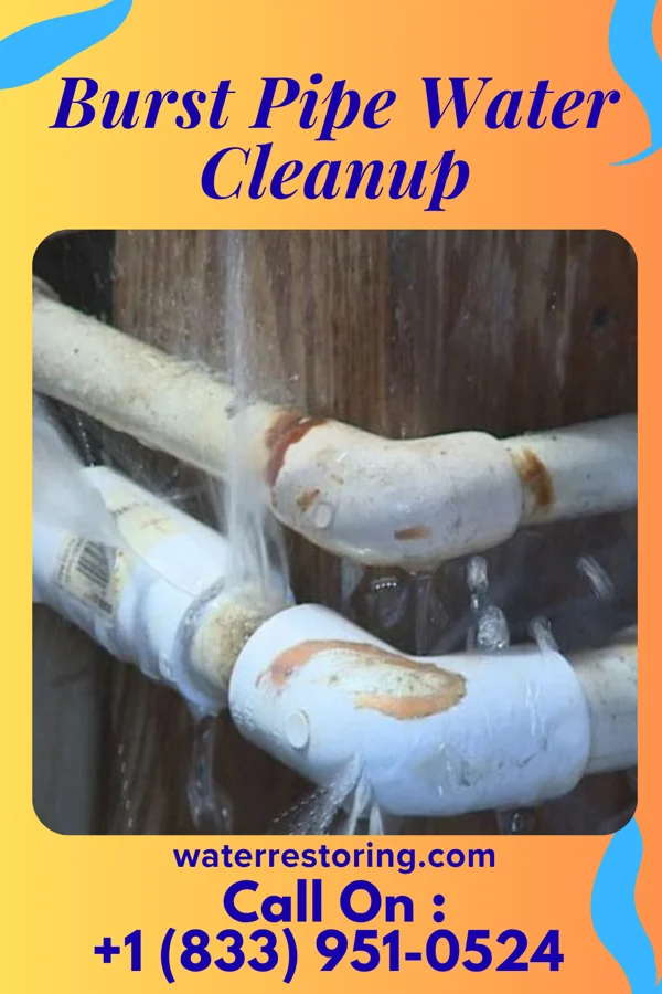 Burst Pipe Water Cleanup in Edgewood, KY
