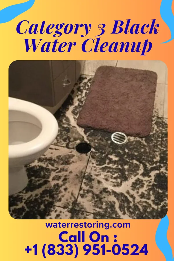 Category 3 Black Water Cleanup in Edgewood, KY