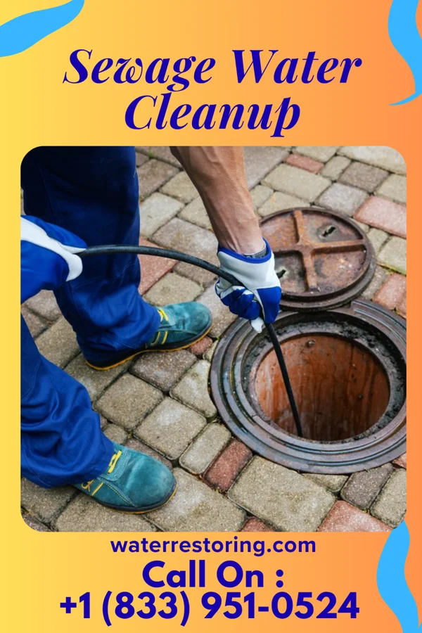 Sewage Water Cleanup in Edgewood, KY